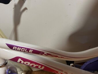 Decky bicykel Harry - 5