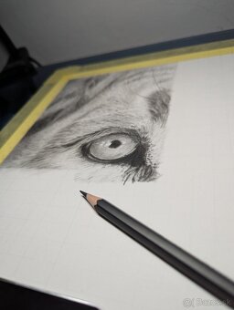 ''EYES OF THE KING'' - Hyperrealistická kresba - 5