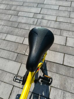 ACADEMY Grade 3 Belt 16” - 5