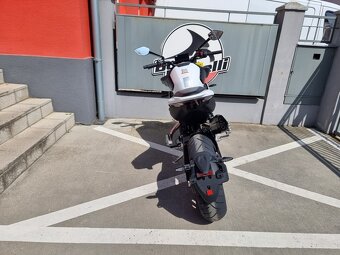 CFMOTO 800NK Sport + - 5