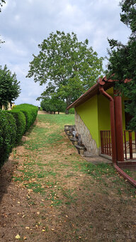 Vínny domček s vinicou a ovocným sadom v Bátorových Kosihách - 5