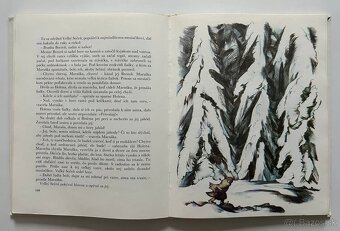 Slovenské ľudové rozprávky (Božena Nemcová) - 5