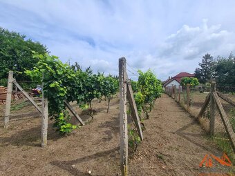 Na predaj pekný ,slnečný pozemok Moča  - 5