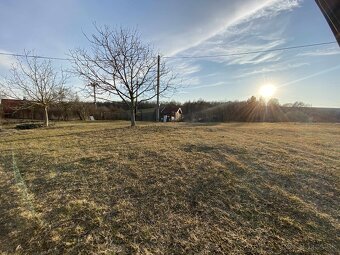 Záhrada, pivnica - 5