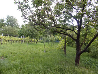 Exkluzívne pripravujeme do ponuky vidiecky dom 90 m2, pozemo - 5