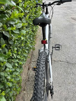 CTM Mony 24" - 5