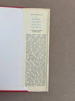Příběh malého Waltra Pieterse - Multatuli - 5