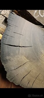 Predám dub bahenny, koláče, priečne rezy - 5