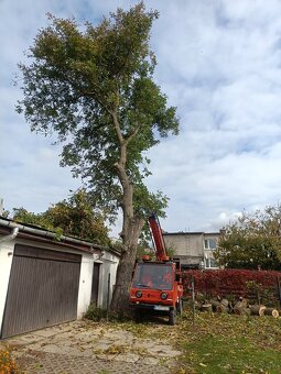 Pílenie a Orezávanie stromov - 5