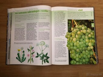 Rok v našej záhrade - 5