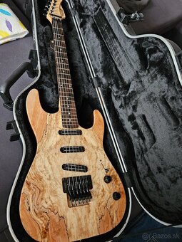 custom handmade gitara od Werne vyrobcu - 5