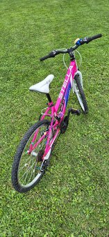 Junior bicykle Harry - 5