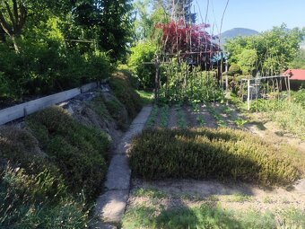 Predám záhradku s chatkou – Mojšová Lúčka I, Žilina - 5