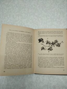 Zahrádkářův rok - 5