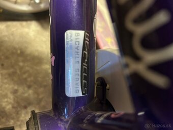 Bicykel Dema - 5