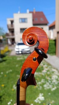 České husle - 5