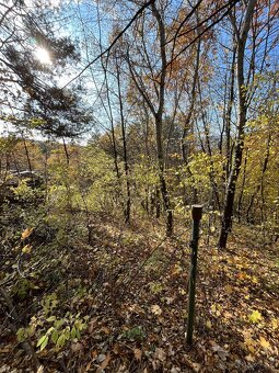 Predam pozemok zahradku na Mihalove Bardejov - 5