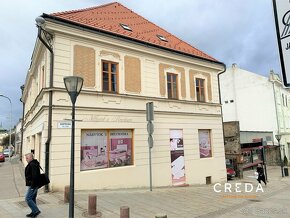 CREDA | prenájom 50 m2 pivničné priestory, Nitra, Farská - 5