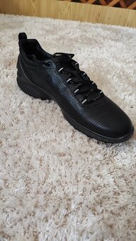 Ecco biom č.39 - 5