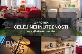1i garsónka vo DVORE - TEHLA - VYSOKÉ stropy - Centrum NIVY  - 5