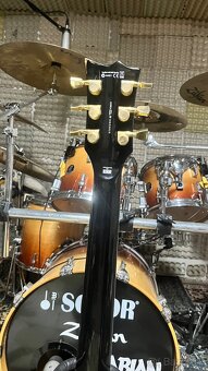 ESP LTD EC-1000 Deluxe - 5