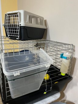 Klietka pre morča / zajačika - 5