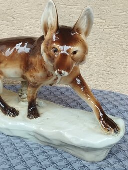 Royal dux líška - 5