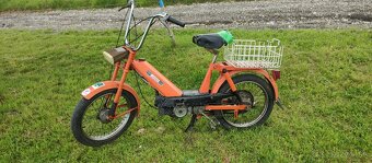 Babeta 207 - 5