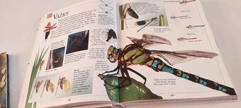 veľká detská encyklopédia - 5