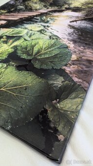 Fotoobraz zo Slovenského raja, oblasť Tomášovská Belá - 5