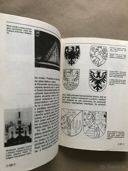 Slovenské ľudové tance, Aeneas, Piesne z Brezovej, Husliar - 5
