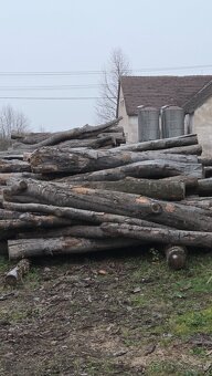 Predám palivové drevo - 5