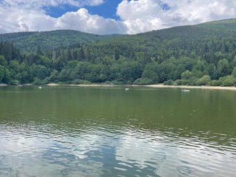 POZEMOK NA POLOSAMOTE PRI LESE S POTOČIKOM/PSTRUHY,RAKY/ 312 - 5