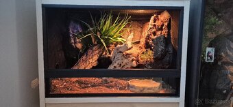 Terarium s 3d stenou - 5