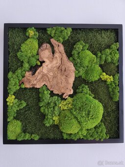 Machový obraz OLIVA - 5