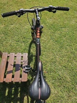 Leader Fox Arezo29 - 5