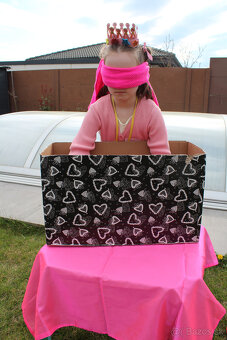 Animátorka pre detské oslavy,svadby,voľnočasové akcie - 5