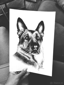 Kreslenie portrétov - 5