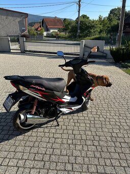 Skúter adamoto 125 - 5