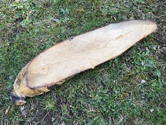 Obrázek krajina na dřevě - 5