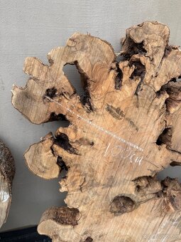 Olivové priečne rezy – vzduchosuché na konferenčné stolíky 🪵 - 5