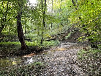 Raslavice – 156.000 m2 LESOV (87,6% podielov na LV) - 5