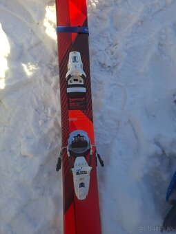 Predam lyze volk - 5