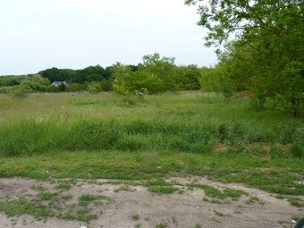 Predaj, pozemok, Marcelová - 5