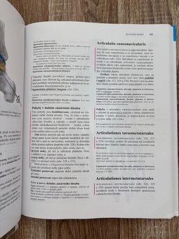Anatomia Čihák 1,2 - 5