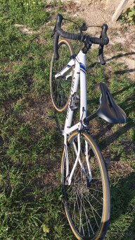 Specialized dolce 44cm - 5
