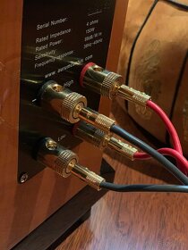 High end repro kabel Black Rhodium Encore - 5