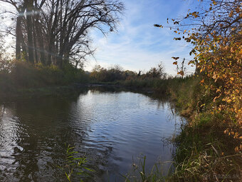 Predám stavebný pozemok v obci Kráľov Brod - 5