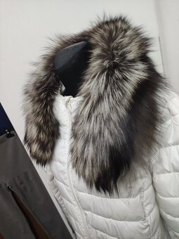 Pravá strieborná líška na kapucňu atď. - 5