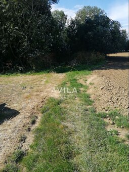 NA PREDAJ: romantický pozemok v lone prírody - Bohdanovce na - 5